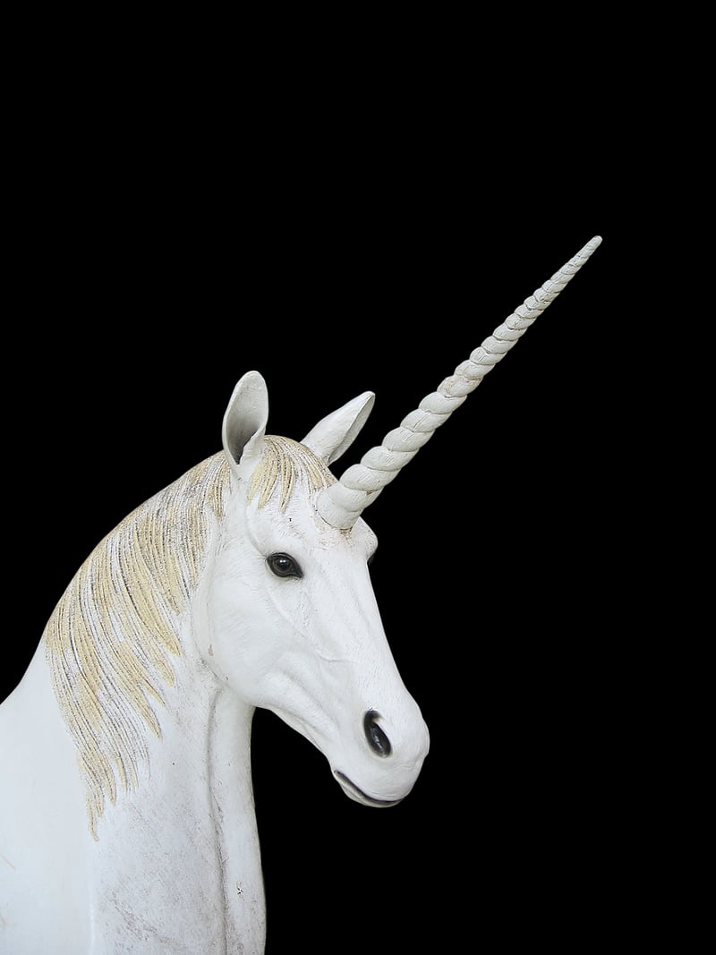 Unicorn in a fairy tale setting